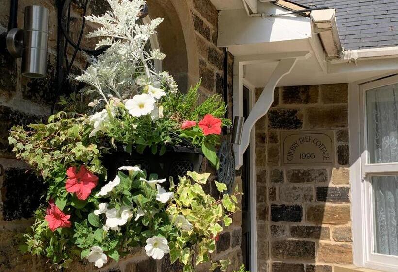 فندق Dimple Well Lodge