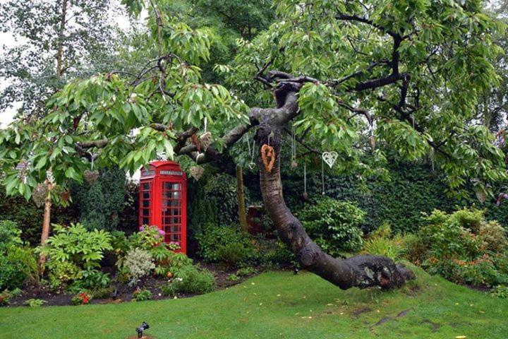 فندق Dimple Well Lodge