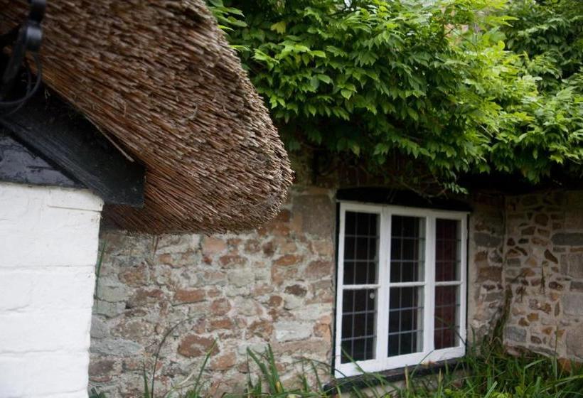 Отель Shave Cross Rooms