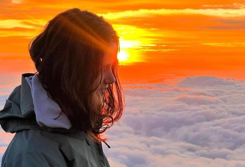 Отель La Merced Plaza Hospedaje