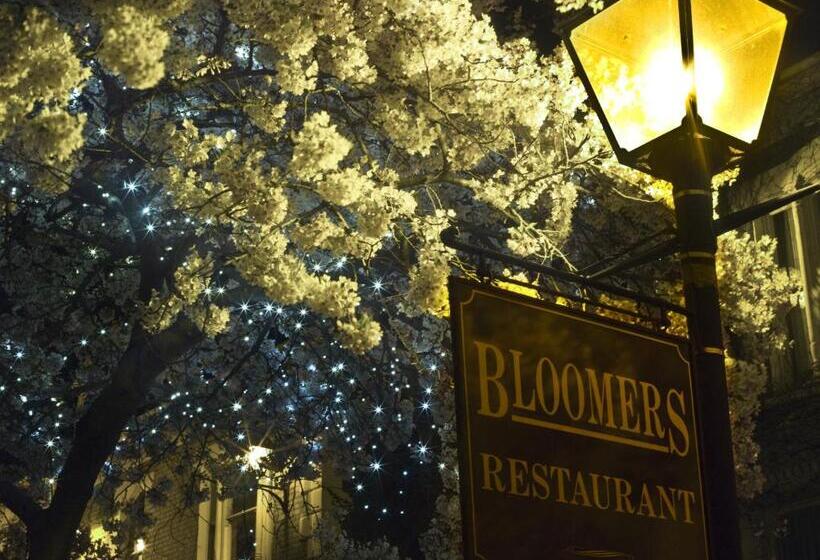 בית מלון כפרי Overcliffe