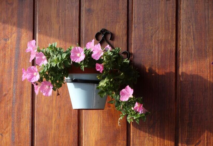 בית מלון כפרי Siena