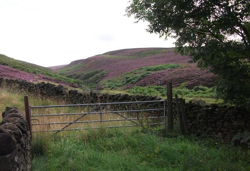 فندق The Lantern Pike Inn