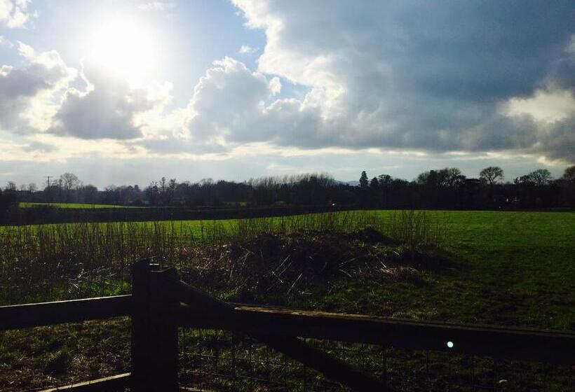 فندق Walter De Cantelupe Inn