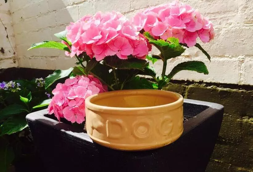 هتل Walter De Cantelupe Inn