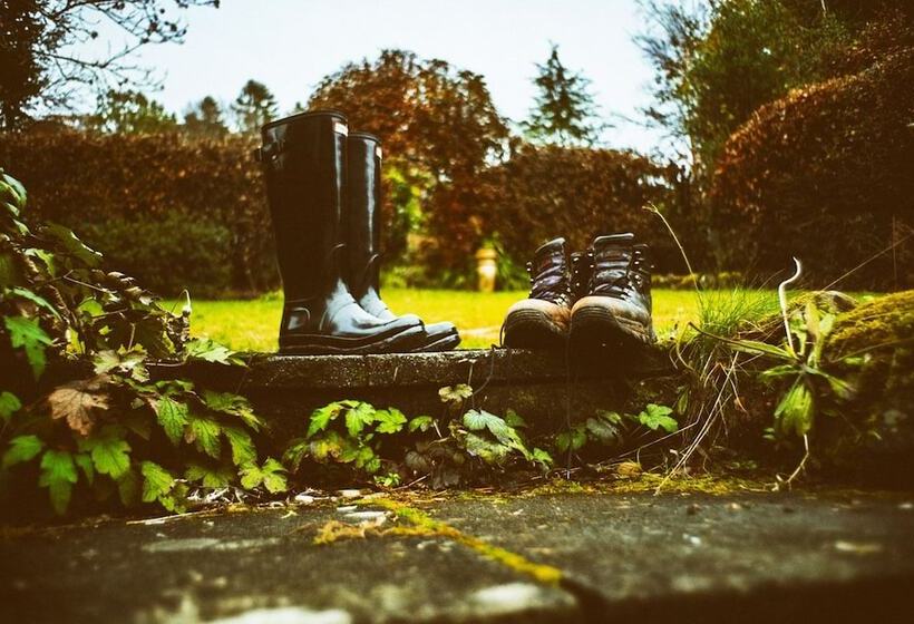 Queensberry House B&b