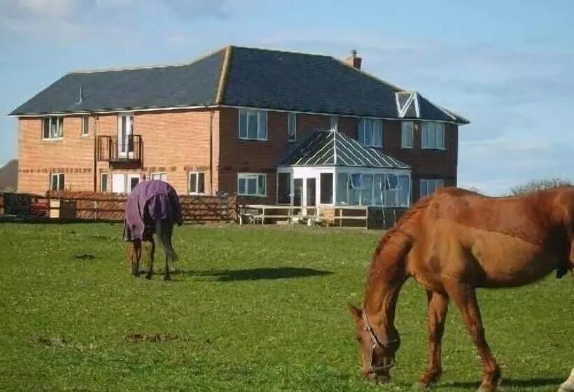 Springwood B&b