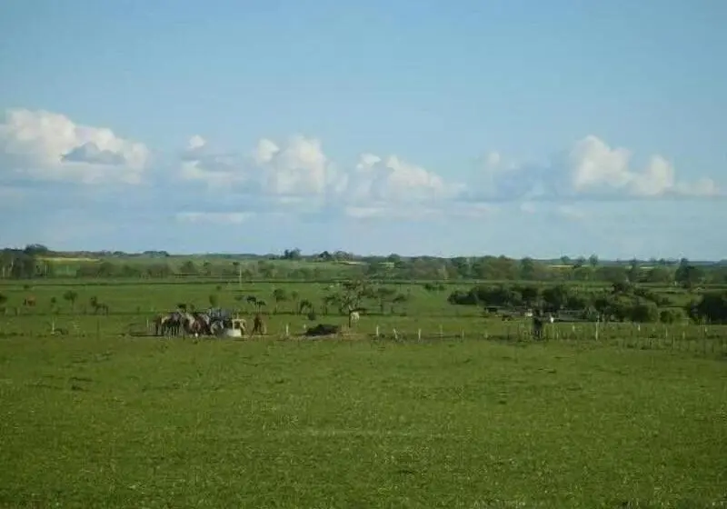 Springwood B&b