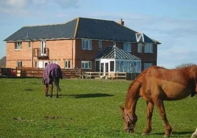 Springwood B&b