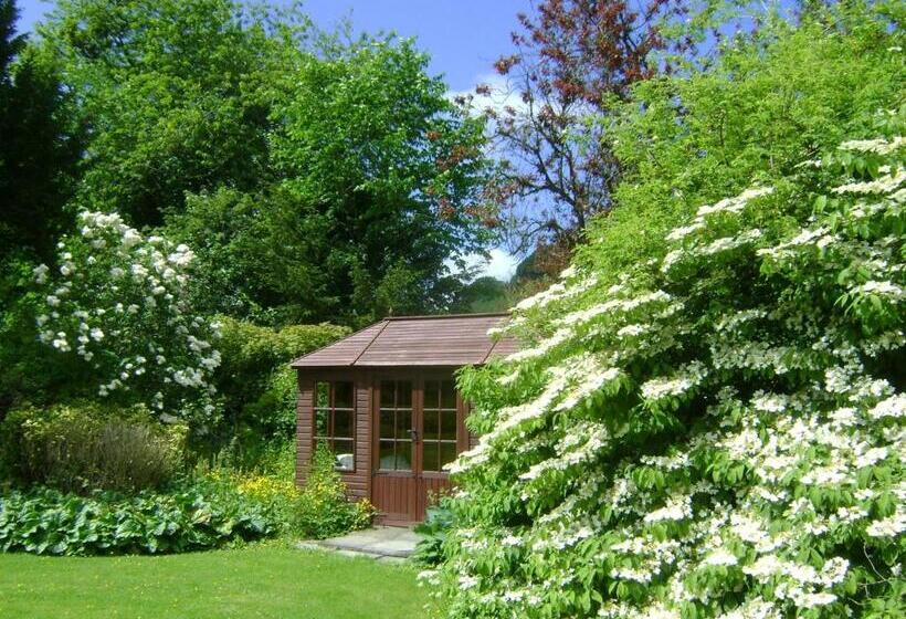 The Forest Country House B&b