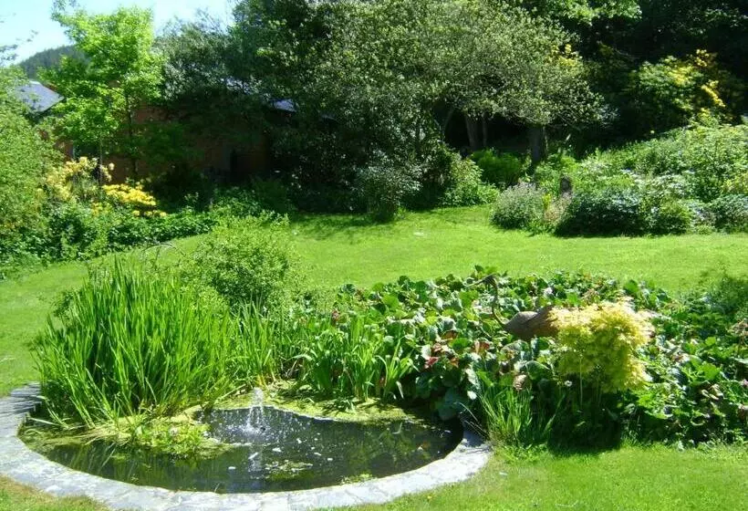 The Forest Country House B&b