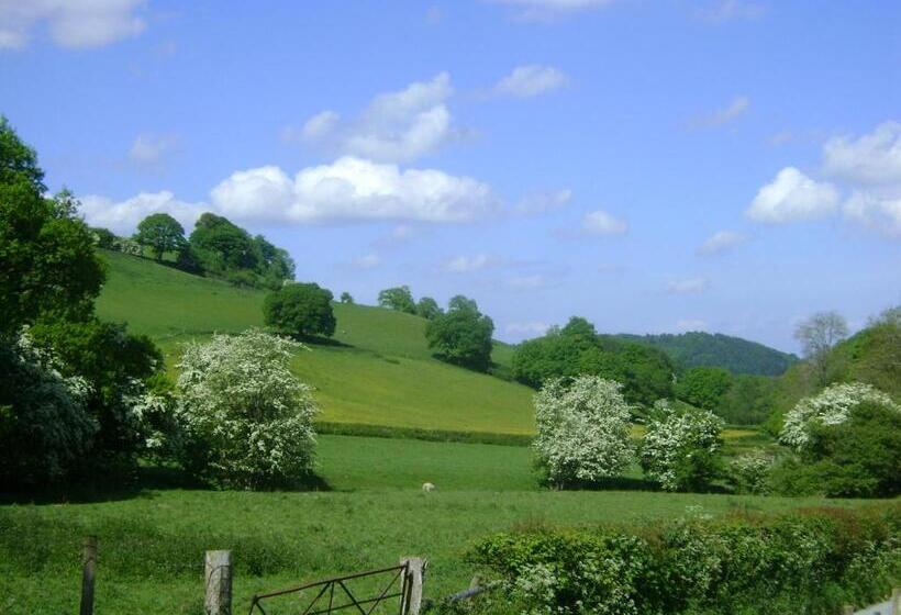 The Forest Country House B&b