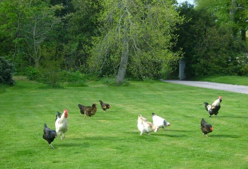 The Forest Country House B&b