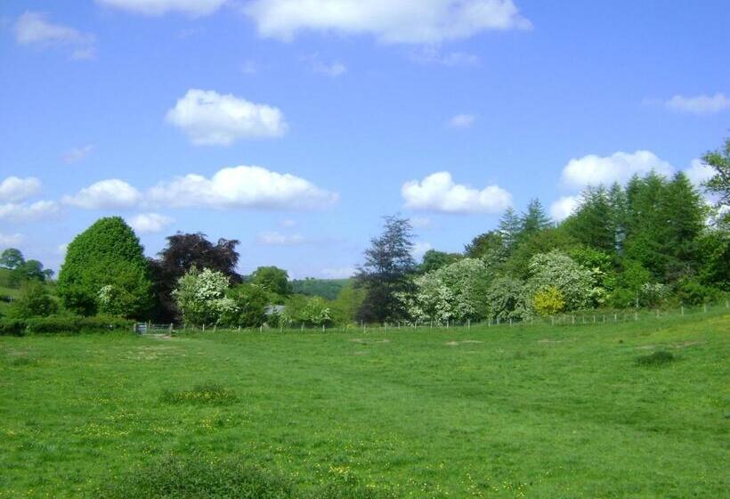 The Forest Country House B&b