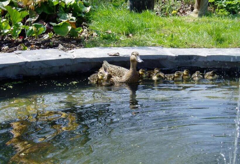 The Forest Country House B&b