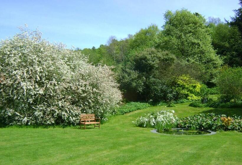 The Forest Country House B&b