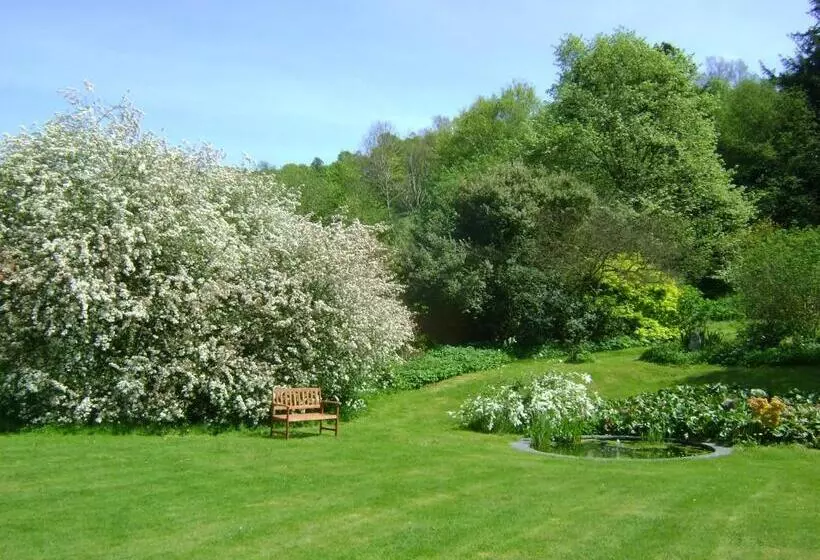 The Forest Country House B&b