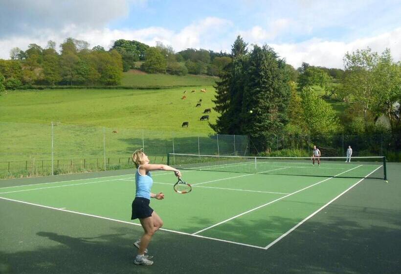 The Forest Country House B&b