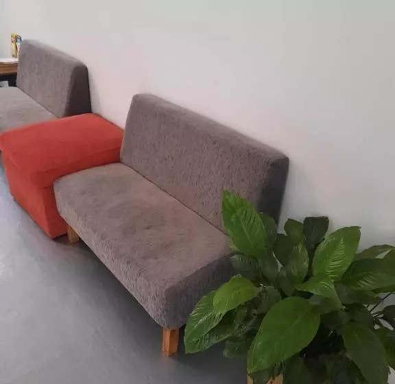 تختخواب و صبحانه Cañas Suites Urbanas