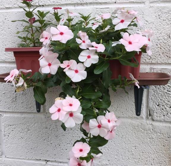 호텔 Joya De La Selva