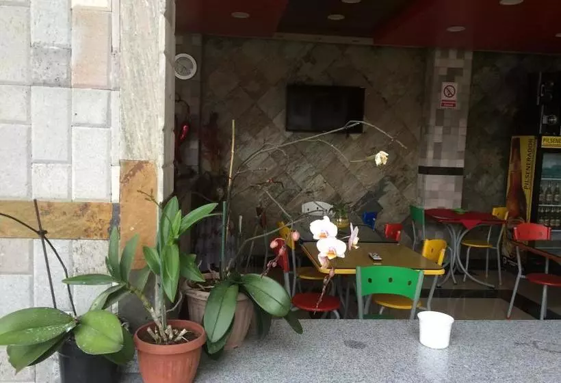 Hotel Joya De La Selva