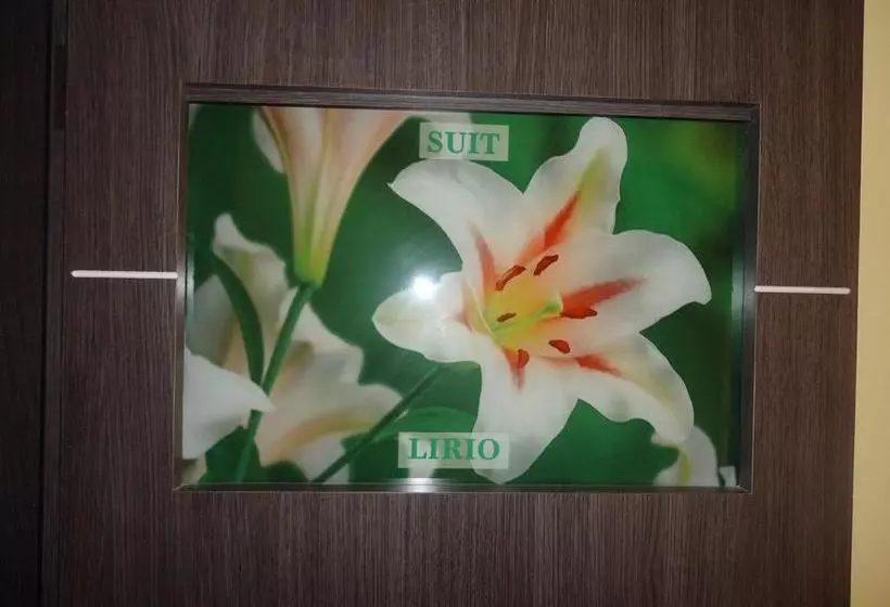 Hotel Joya De La Selva