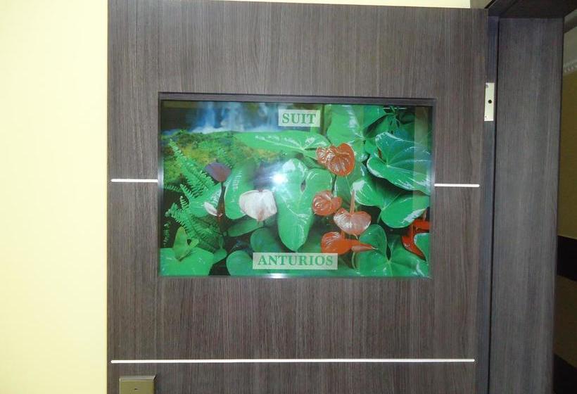 호텔 Joya De La Selva