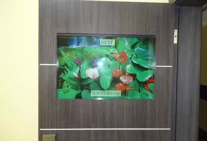 Hotel Joya De La Selva