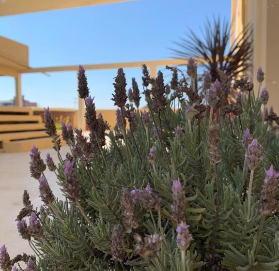 فندق Los Angeles