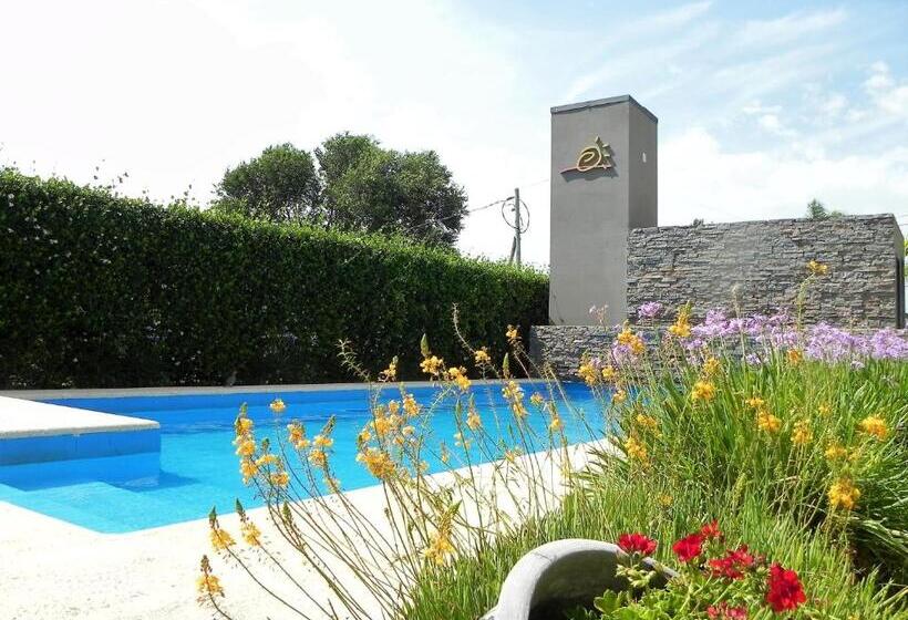 فندق Portal Del Este