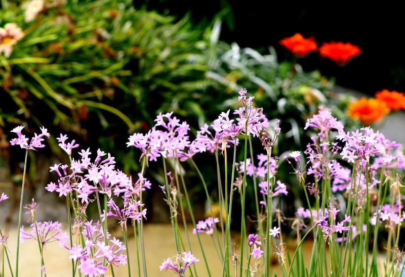 فندق Juliette Posada Boutique Ex Posada La Villa