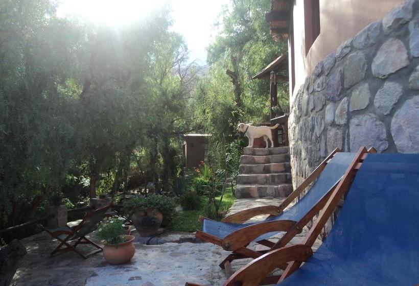 Residenz Cabañas Malka