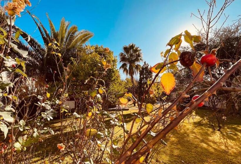 צימר Blue Sky Mendoza