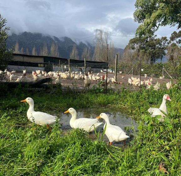 Eikelaan Farm Cottages