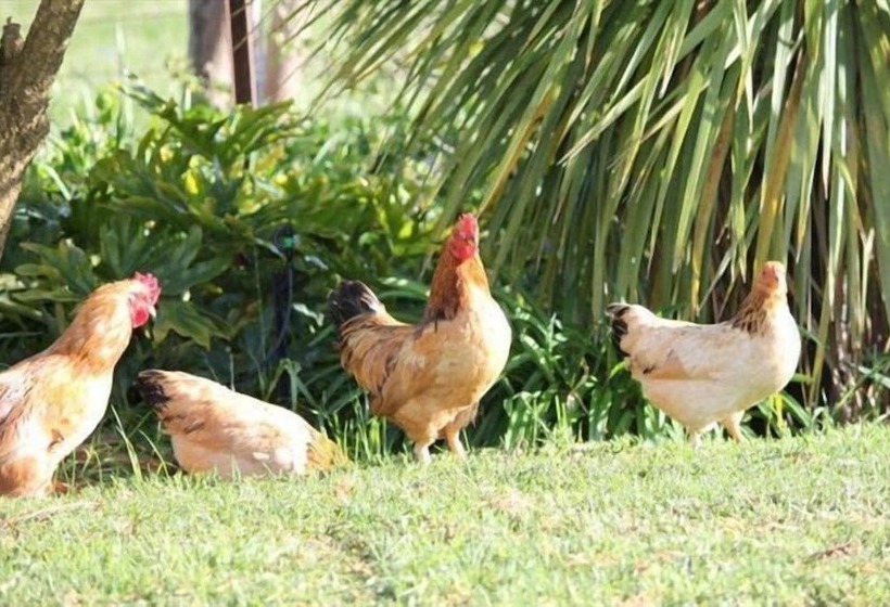 Eikelaan Farm Cottages