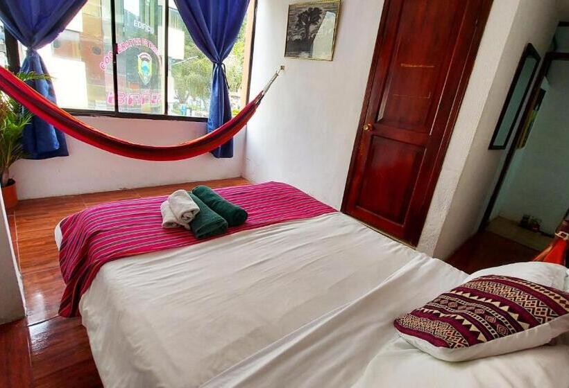 Erupcion Art Hotel & Hostel