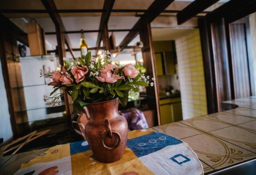 בית מלון כפרי Panamericano Mendoza