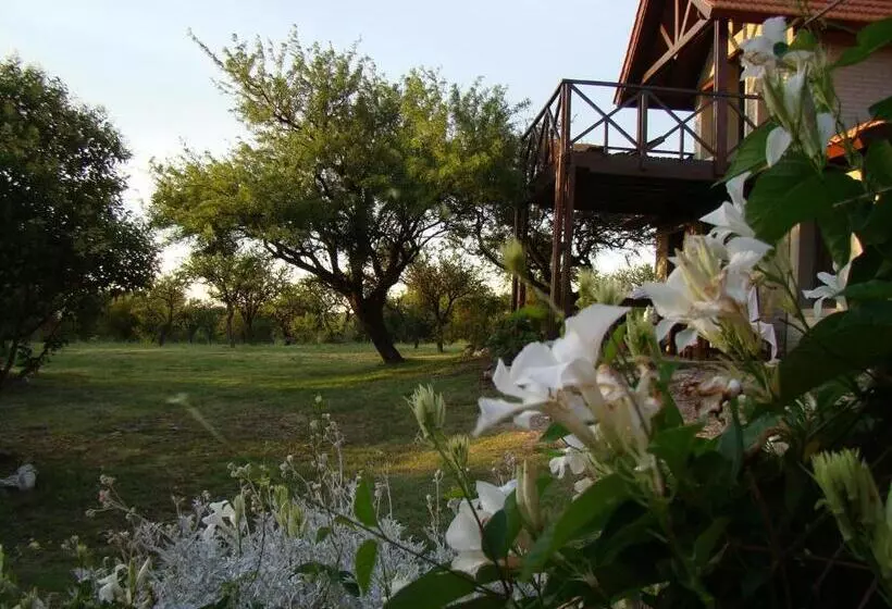 レジデンス Cabañas Cerros Del Sol