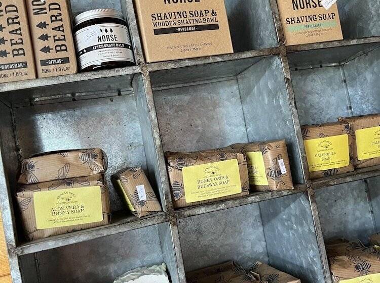 Geodome With Sea Views Near Pendine