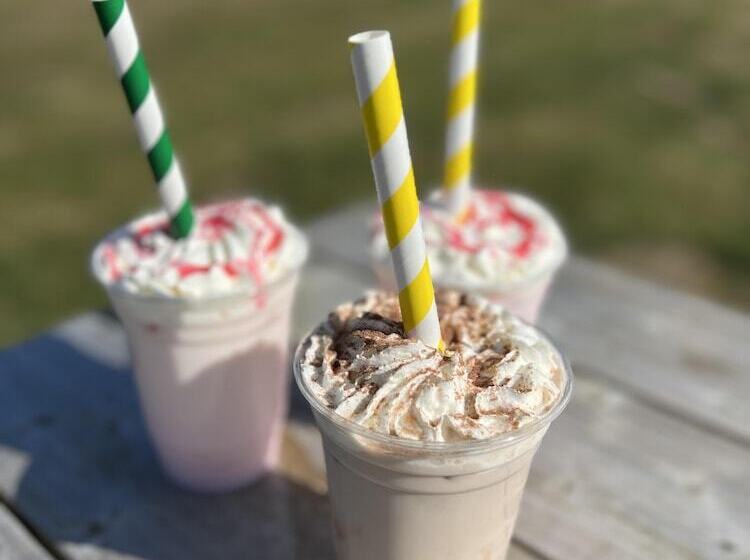 Geodome With Sea Views Near Pendine