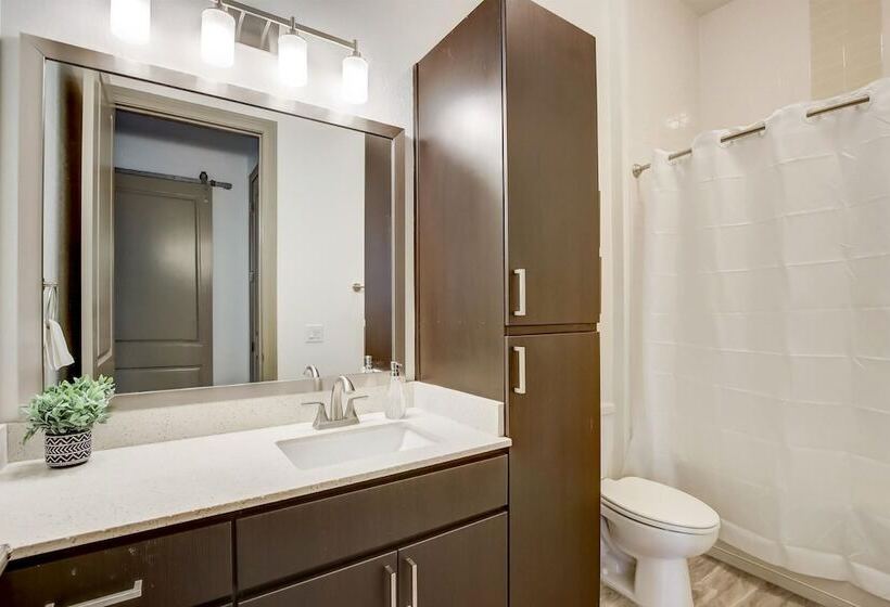 Two Modern Cozysuites At Town Lake