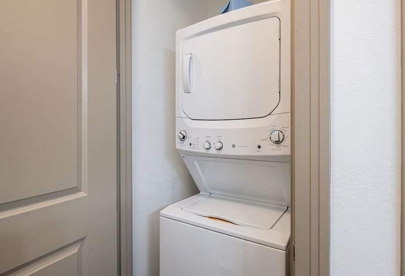 Two Modern Cozysuites At Town Lake