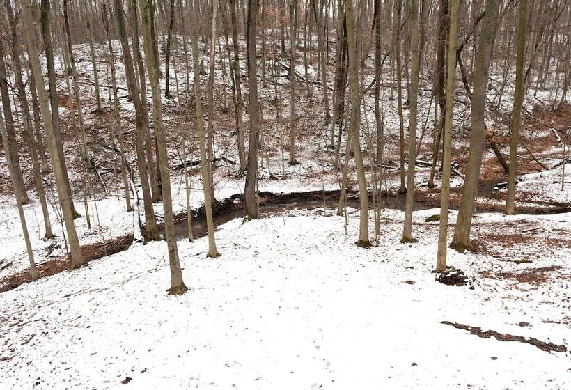 Secluded Naples Cabin W/ Deck & Stream Views
