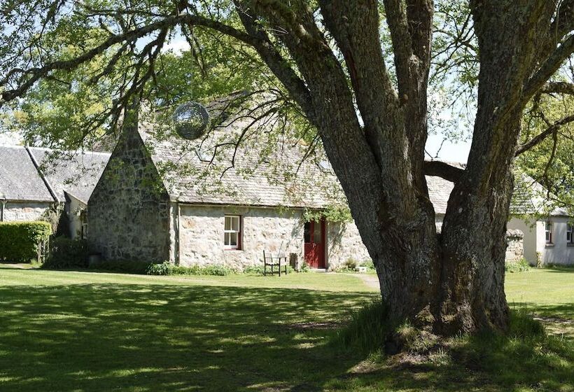 The Dell Of Abernethy