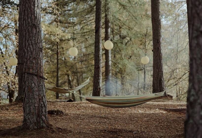 The Dell Of Abernethy