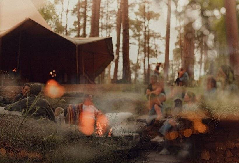 The Dell Of Abernethy