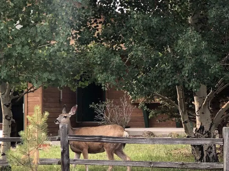 3brmountains & Hot Tubbring The Family