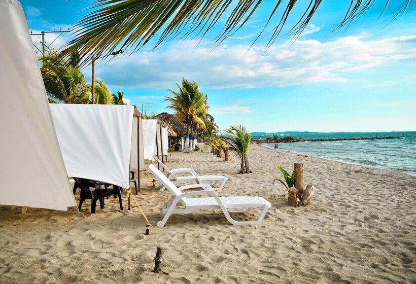 Apartahotel Isla Magica