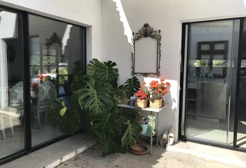 ベッドアンドブレックファースト Estilo Mediterraneo Only Adults