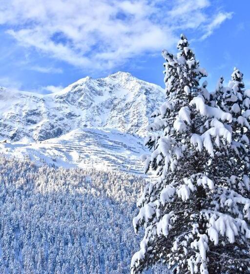 Bed & Breakfast Hotel Nives